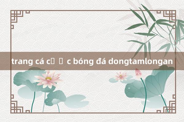 trang cá cược bóng đá dongtamlongan