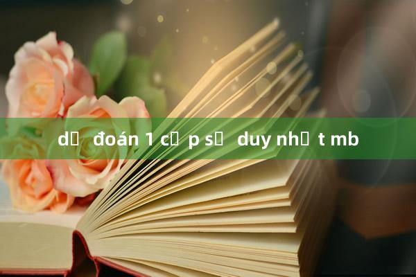 dự đoán 1 cặp số duy nhất mb