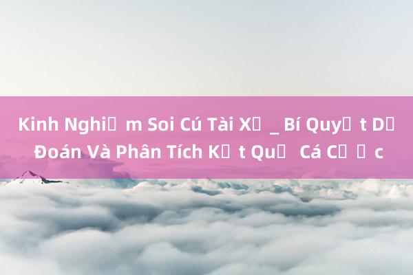 Kinh Nghiệm Soi Cú Tài Xử_ Bí Quyết Dự Đoán Và Phân Tích Kết Quả Cá Cược