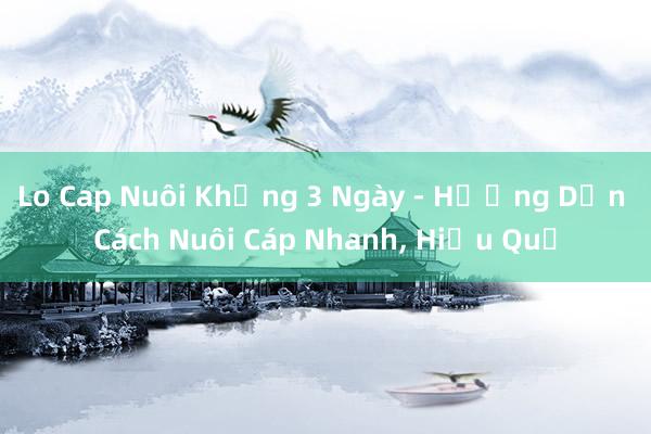 Lo Cap Nuôi Khủng 3 Ngày - Hướng Dẫn Cách Nuôi Cáp Nhanh， Hiệu Quả