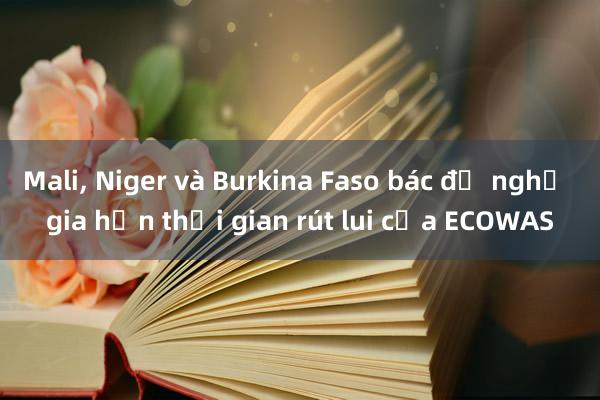 Mali， Niger và Burkina Faso bác đề nghị gia hạn thời gian rút lui của ECOWAS