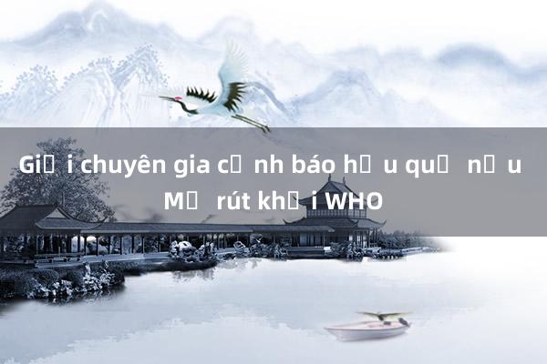 Giới chuyên gia cảnh báo hậu quả nếu Mỹ rút khỏi WHO 