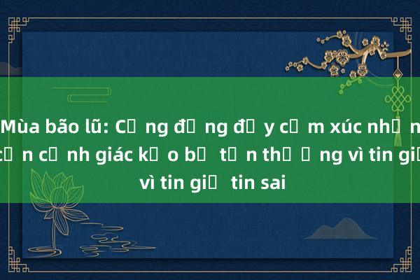 Mùa bão lũ: Cộng đồng đầy cảm xúc nhưng cũng cần cảnh giác kẻo bị tổn thương vì tin giả tin sai