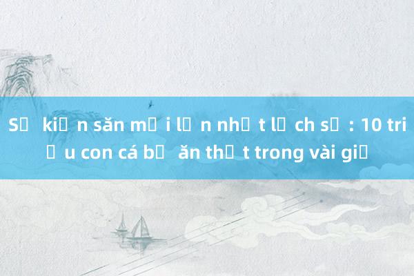 Sự kiện săn mồi lớn nhất lịch sử: 10 triệu con cá bị ăn thịt trong vài giờ