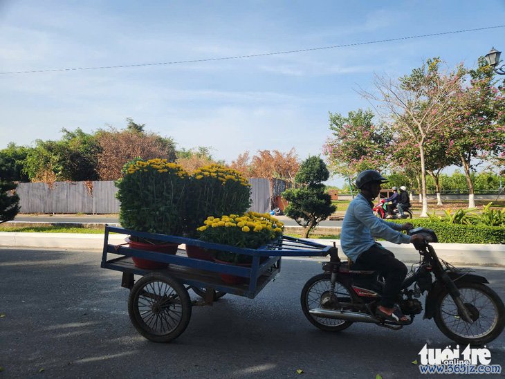 Tiểu thương chợ hoa xuân lo lắng vì hoa bán chậm， giá rẻ - Ảnh 3.