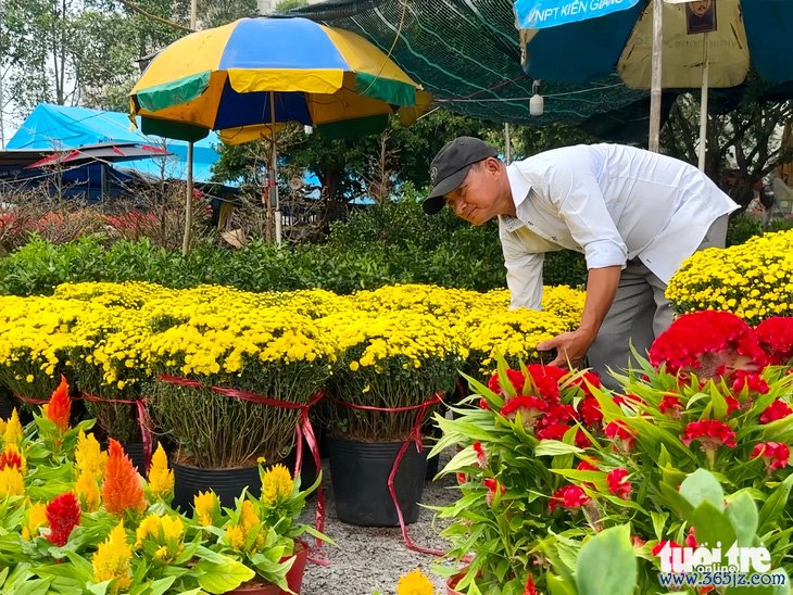 Tiểu thương chợ hoa xuân lo lắng vì hoa bán chậm， giá rẻ - Ảnh 1.